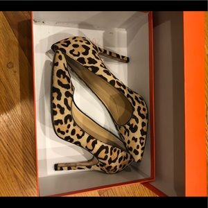 Ivanka Trump leopard Pumps